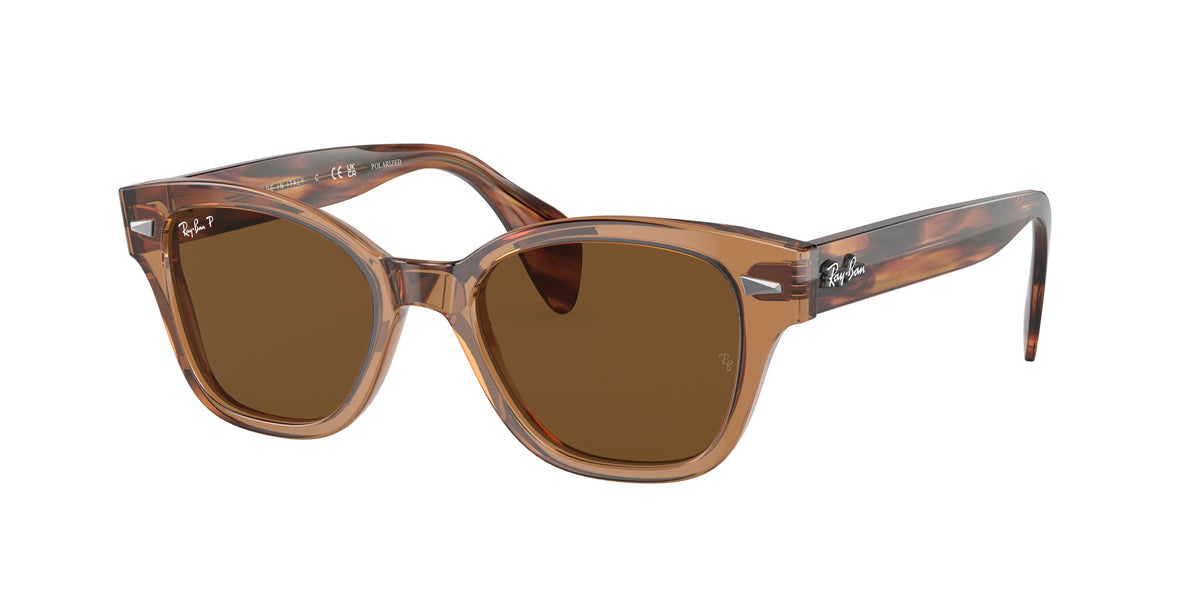Ray-Ban RB0880S sunglasses