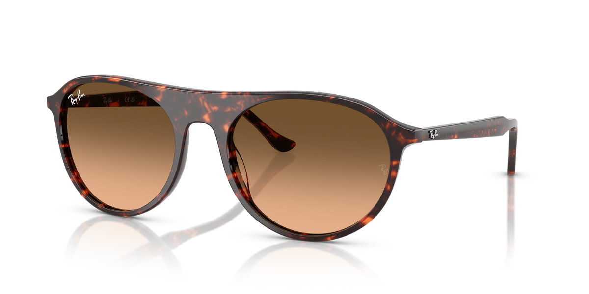 Ray-Ban RB2215 sunglasses