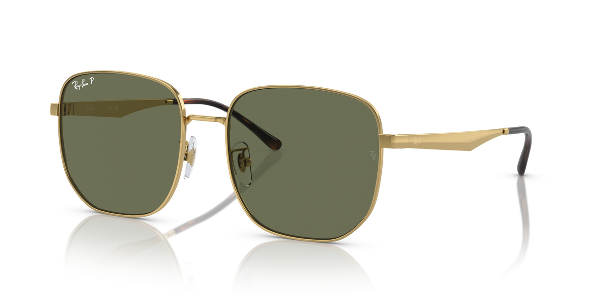 Ray-Ban RB3713D sunglasses
