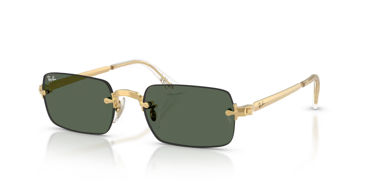 Ray-Ban RB3928 sunglasses.