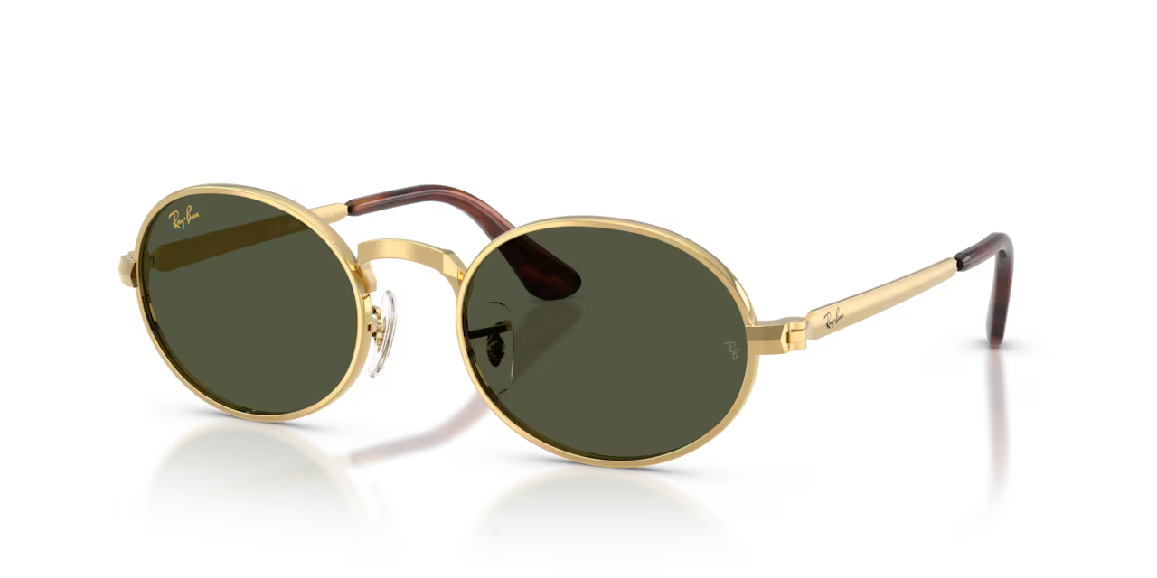 Ray-Ban RB3931 sunglasses.