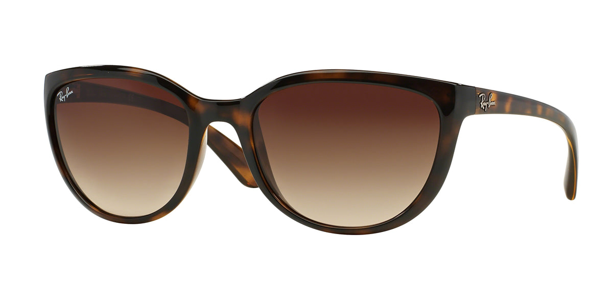 Ray-Ban Emma RB4167 sunglasses