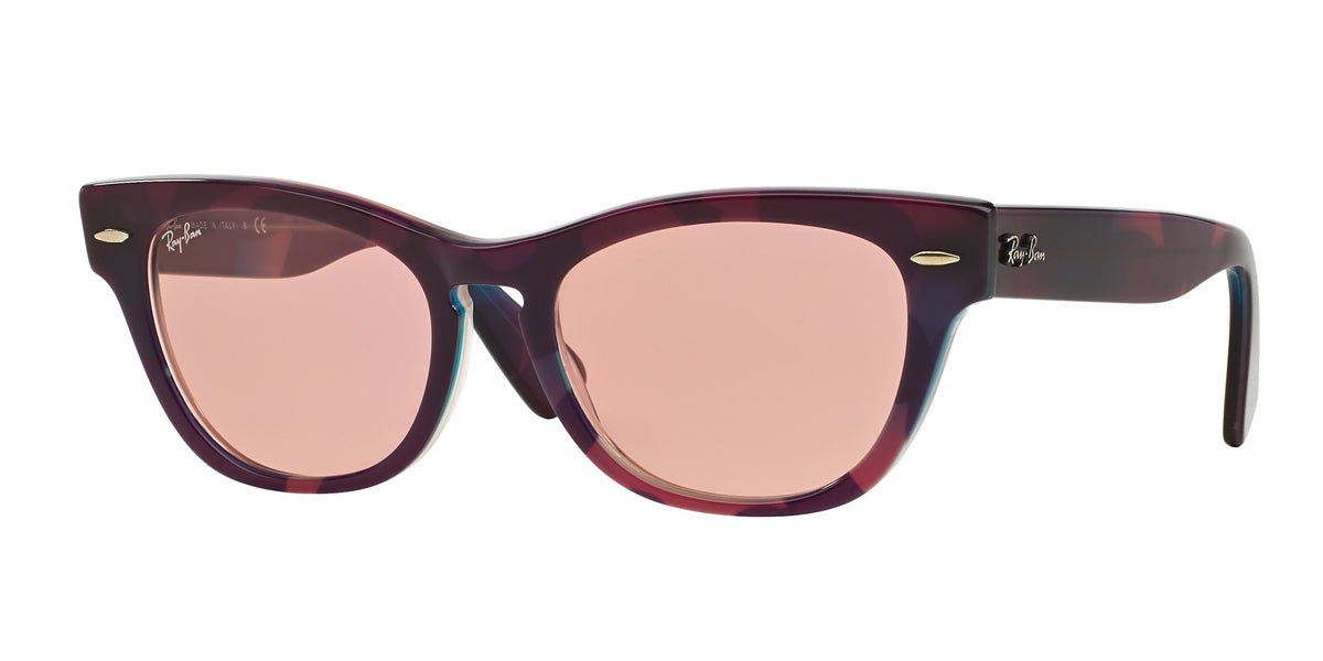 Ray-Ban Laramie RB4169 sunglasses