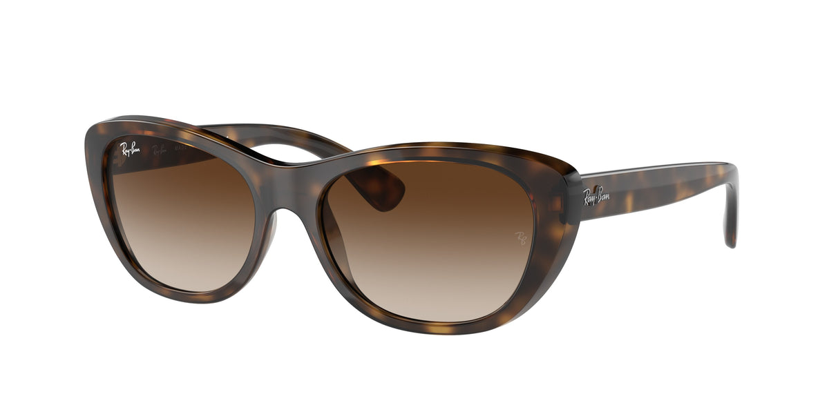 Ray-Ban RB4227 sunglasses