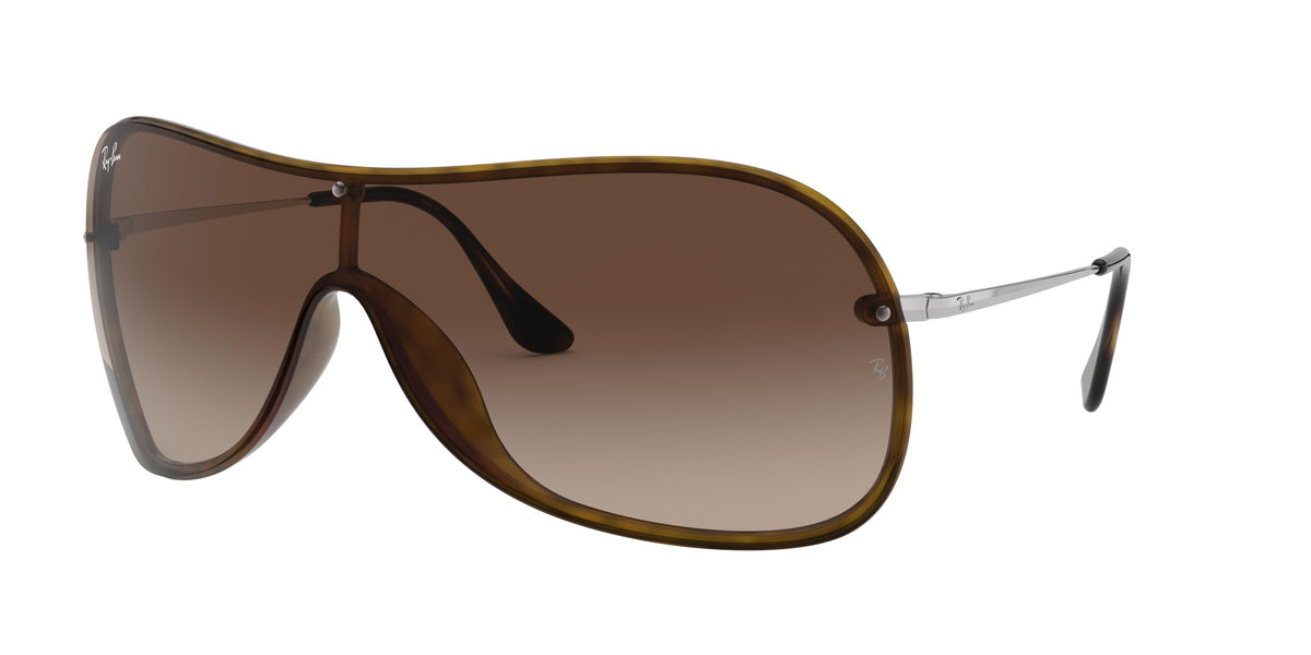 Ray-Ban RB4411 sunglasses