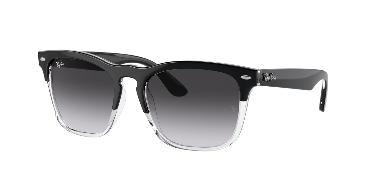 Ray-Ban Steve RB4487 sunglasses