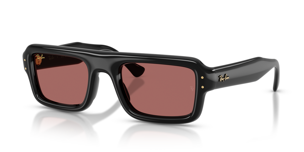 Ray-Ban RB4954 sunglasses