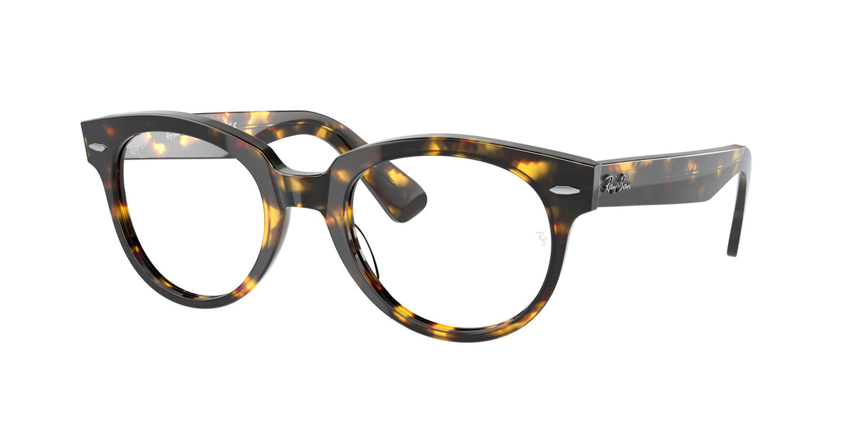 Ray-Ban RX2199V glasses
