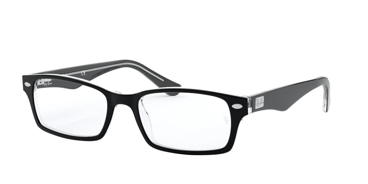 Ray-Ban RX5206F glasses