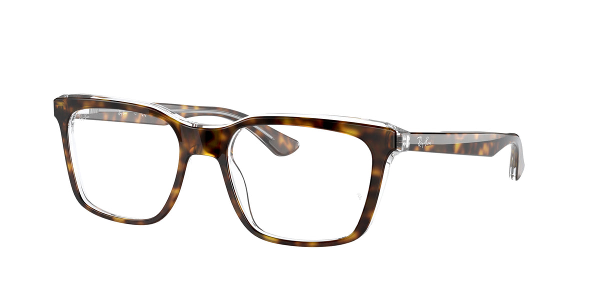 Ray-Ban RX5391 glasses
