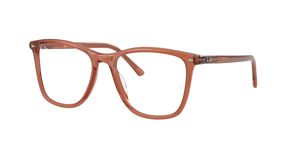 Ray-Ban RX5455 glasses