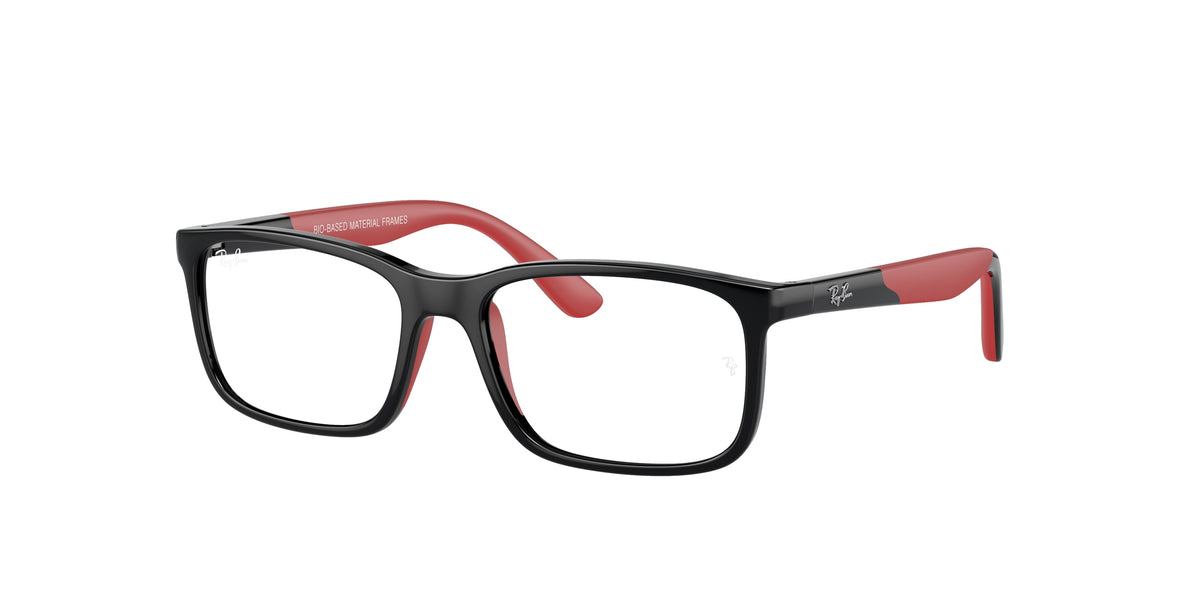 Ray-Ban Junior RY1621 glasses