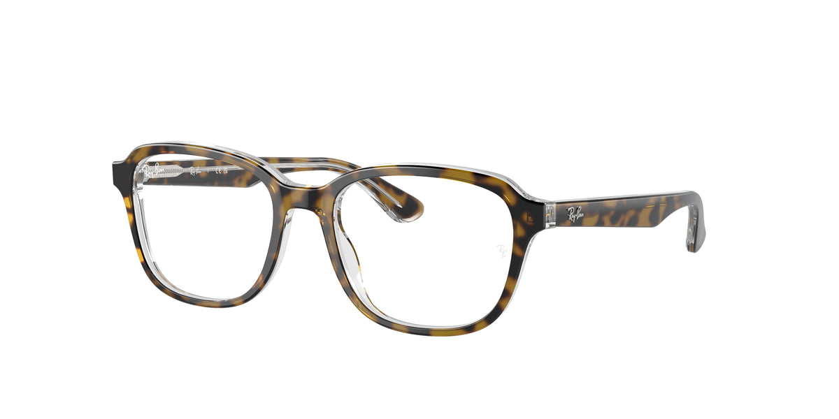 Ray-Ban Junior RY1627 glasses