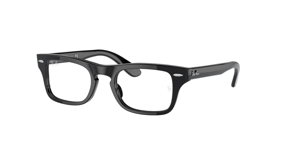 Ray-Ban Junior Burbank RY9083V glasses