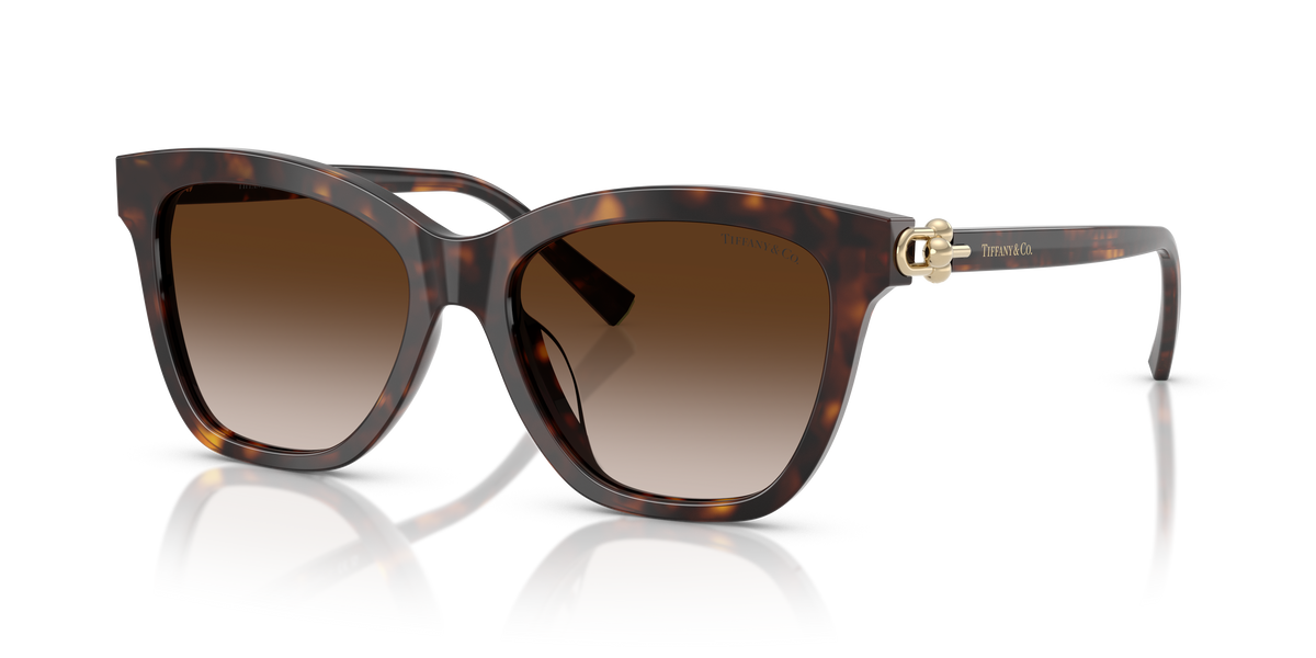 Tiffany TF4241D sunglasses