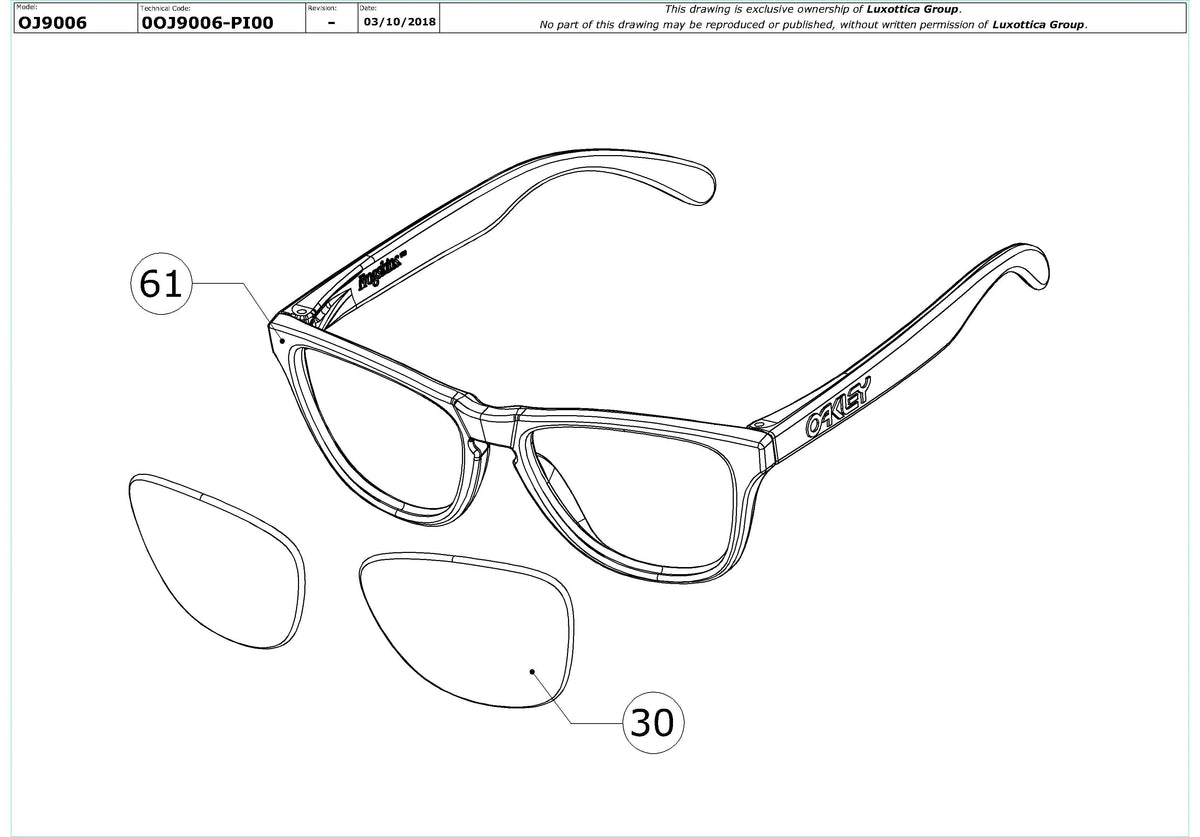 Enlarged technical drawing of the Oakley Frogskins XS OJ9006 Youth Replacement Parts