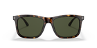 Prada PR 18WS 2AU0B0 Tortoise, front view
