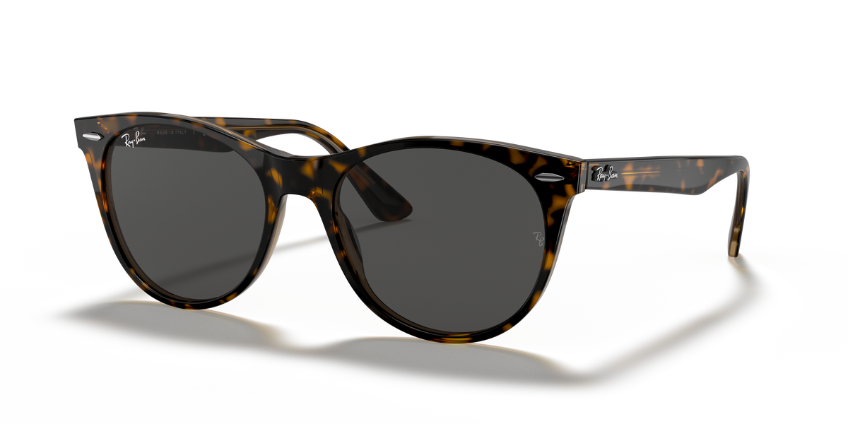 Ray-Ban RB2185 sunglasses