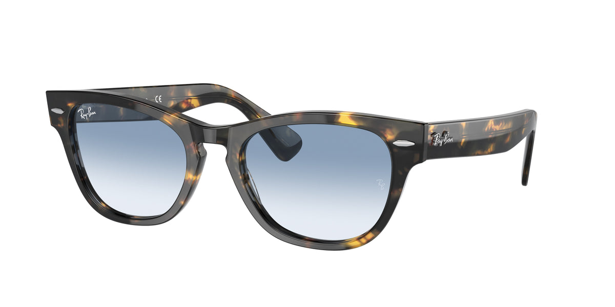 Ray-Ban Laramie RB2201 sunglasses