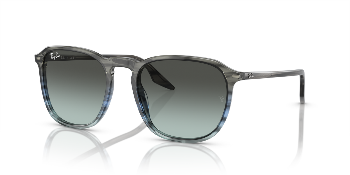 Ray-Ban RB2203 sunglasses