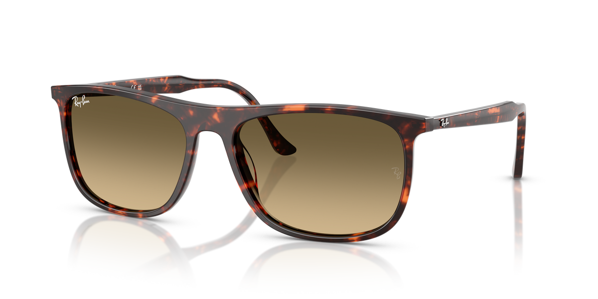 Ray-Ban RB2216 sunglasses