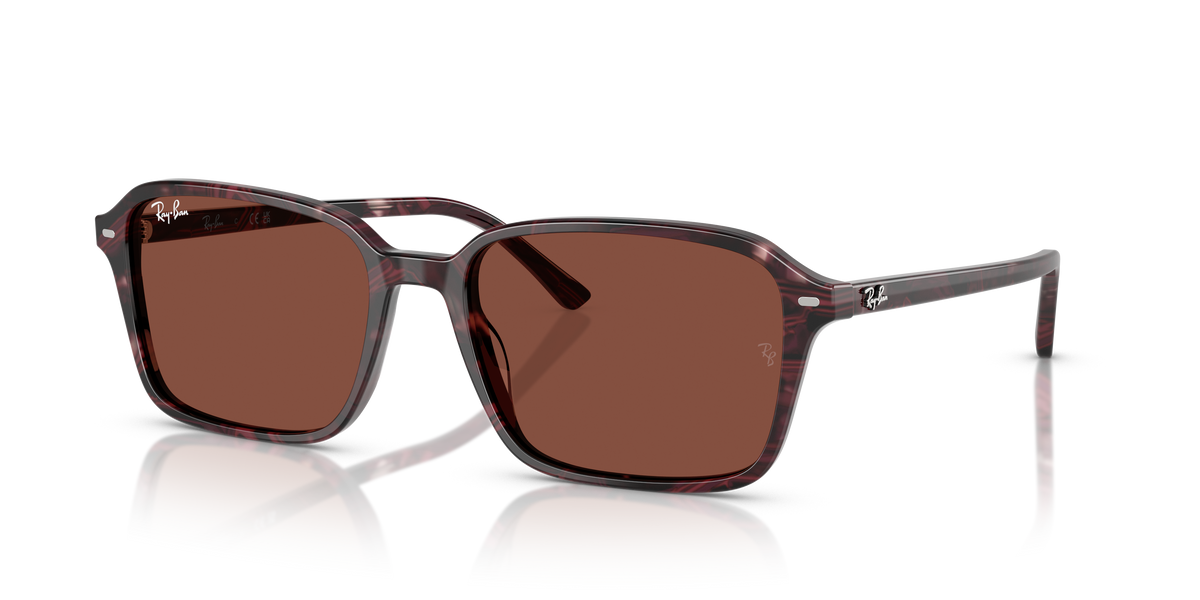 Ray-Ban RB2231 sunglasses