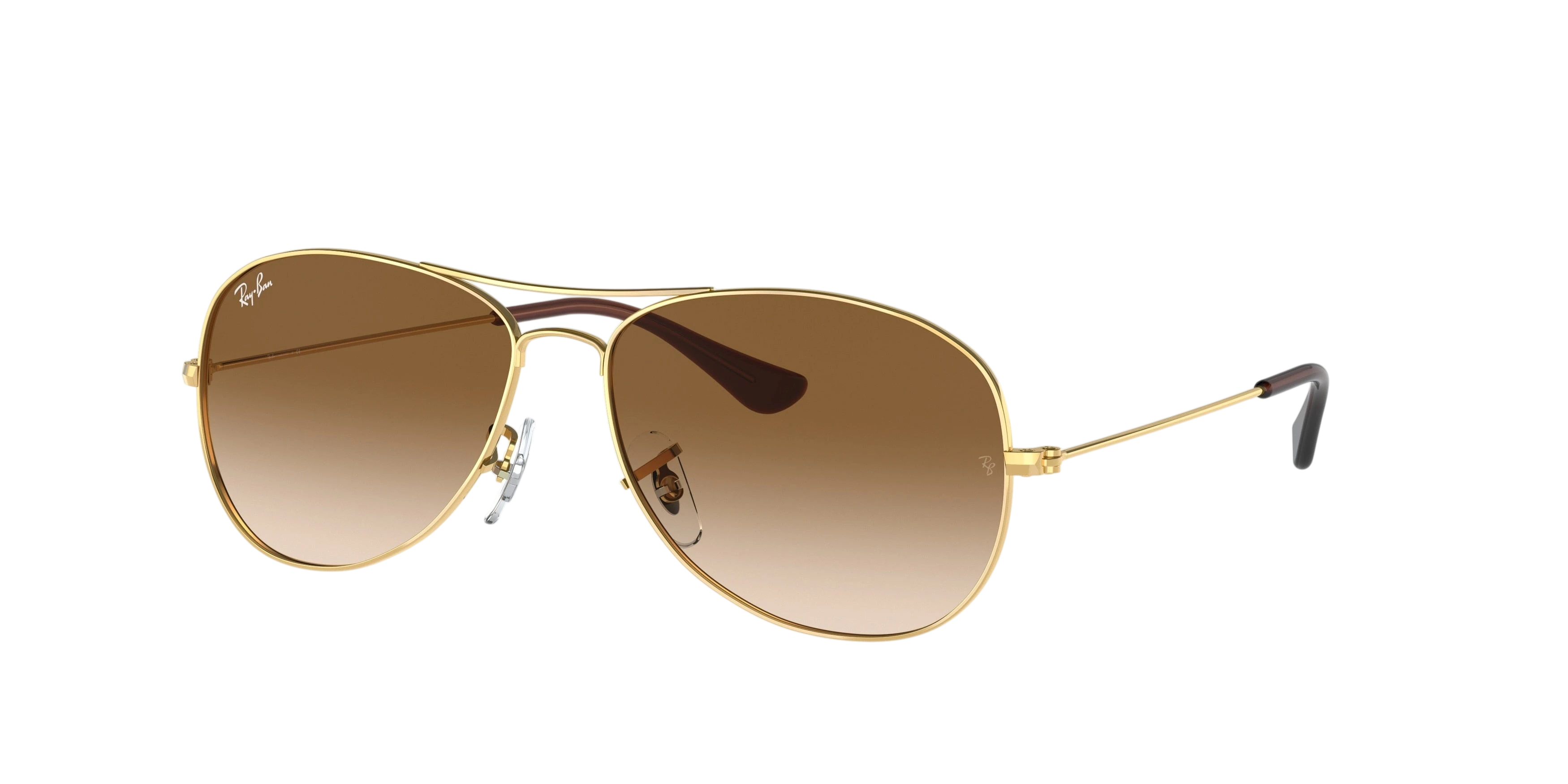 Ray-Ban Cockpit RB3362