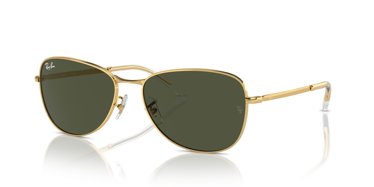 Ray-Ban RB3733 sunglasses