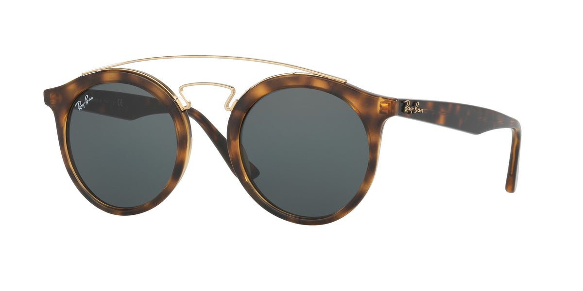 Ray-Ban New Gatsby I RB4256 sunglasses