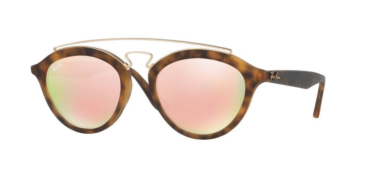 Ray-Ban New Gatsby II RB4257 sunglasses
