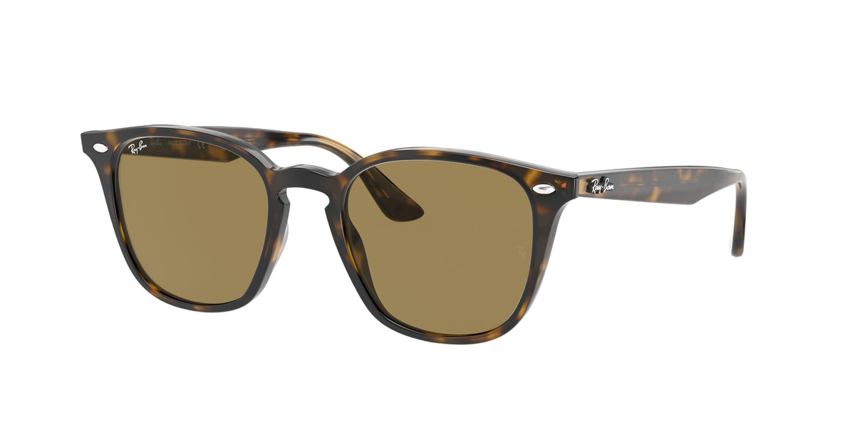 Ray-Ban RB4258 sunglasses