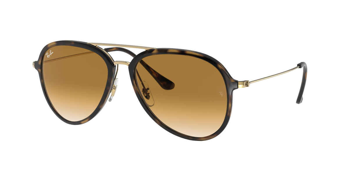Ray-Ban RB4298 sunglasses