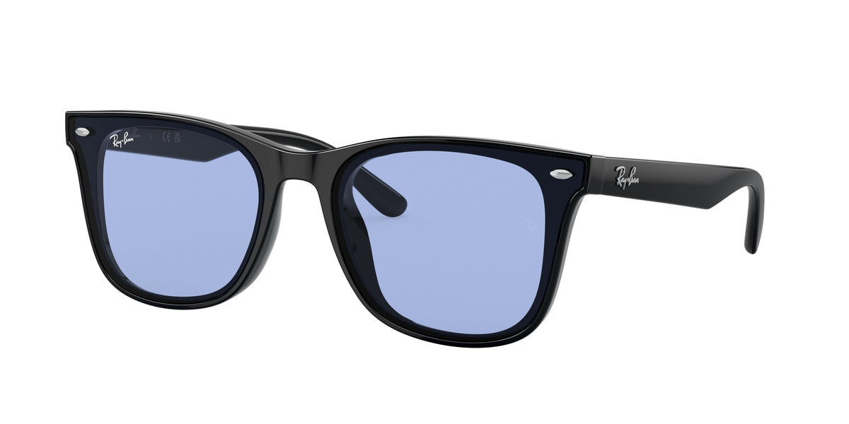 Ray-Ban RB4391D sunglasses
