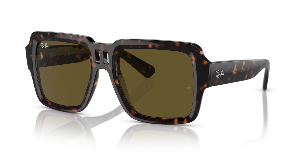 Ray-Ban RB4408 sunglasses