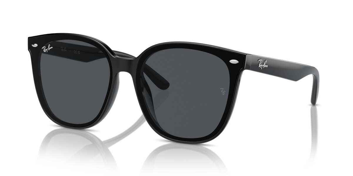 Ray-Ban RB4423D sunglasses