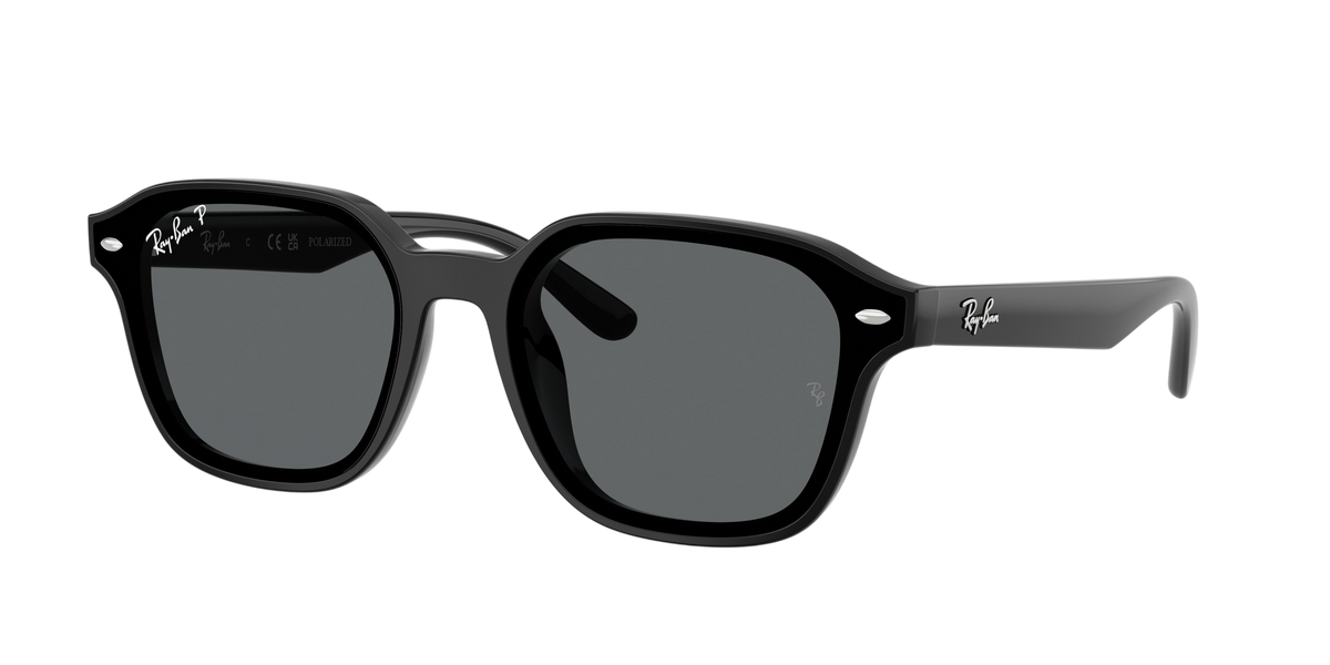 Ray-Ban RB4458D