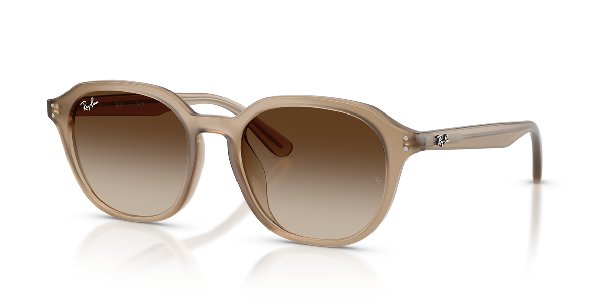 Ray-Ban RB4459D sunglasses