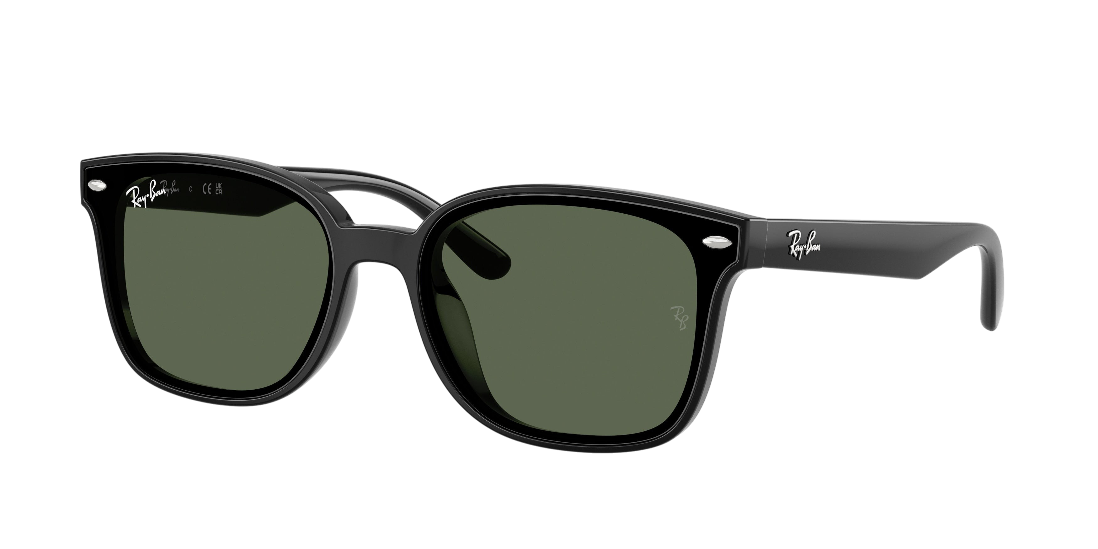 Ray-Ban RB4461D