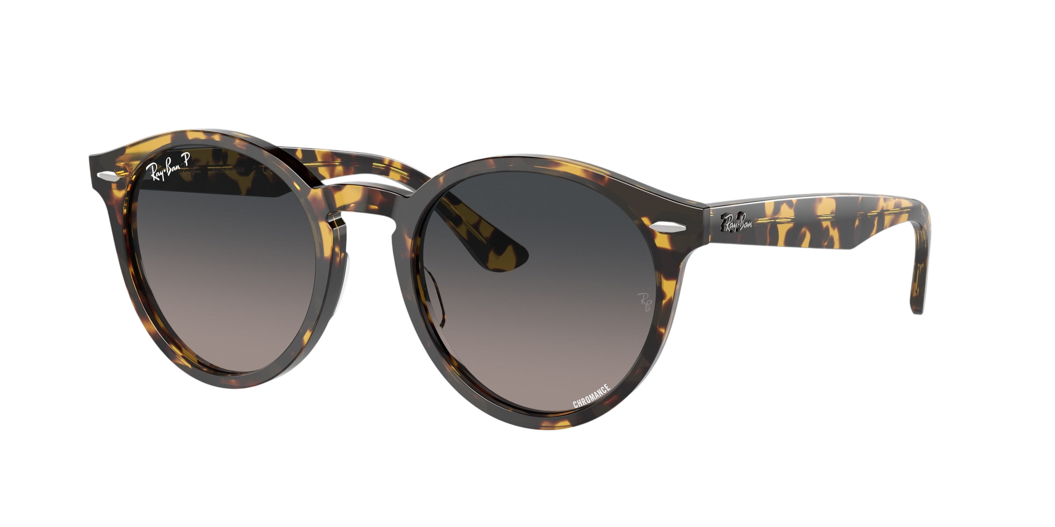 Ray-Ban Larry RB7680S