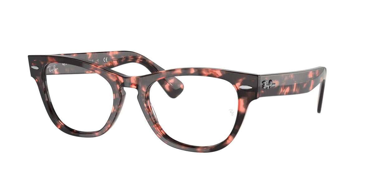Ray-Ban Laramie RX2201V glasses