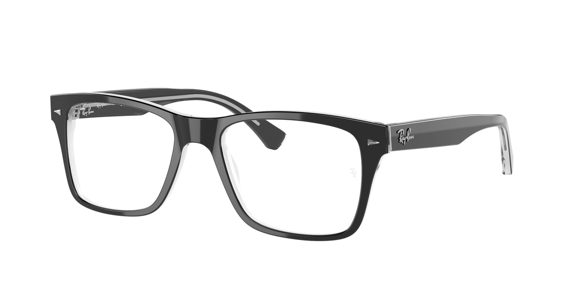 Ray-Ban RX5308 glasses