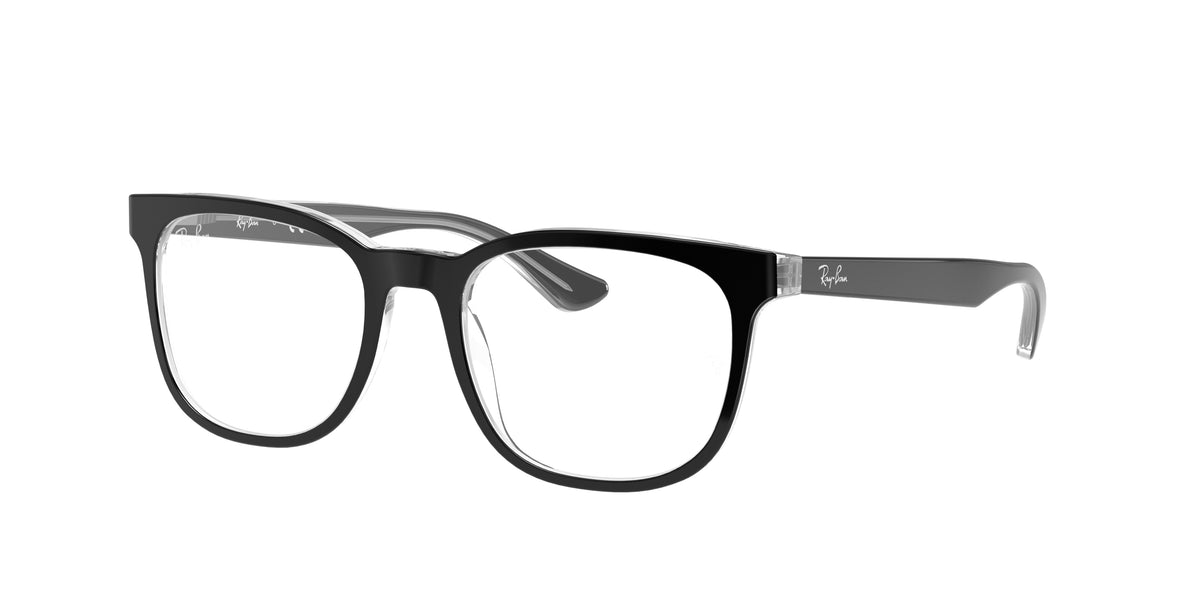 Ray-Ban RX5369 glasses