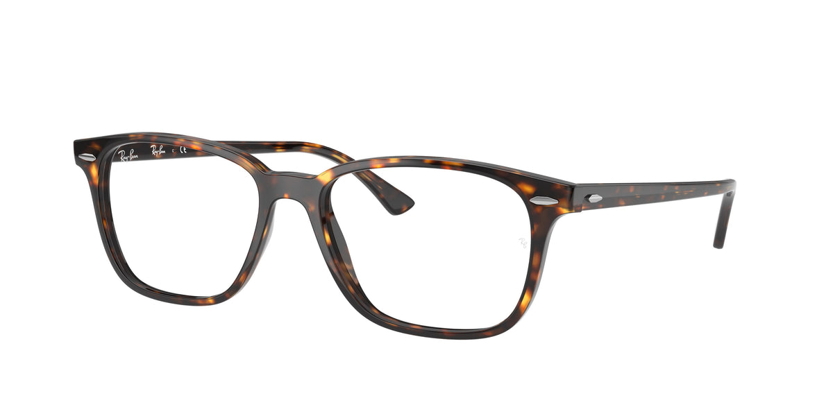 Ray-Ban RX7119F glasses