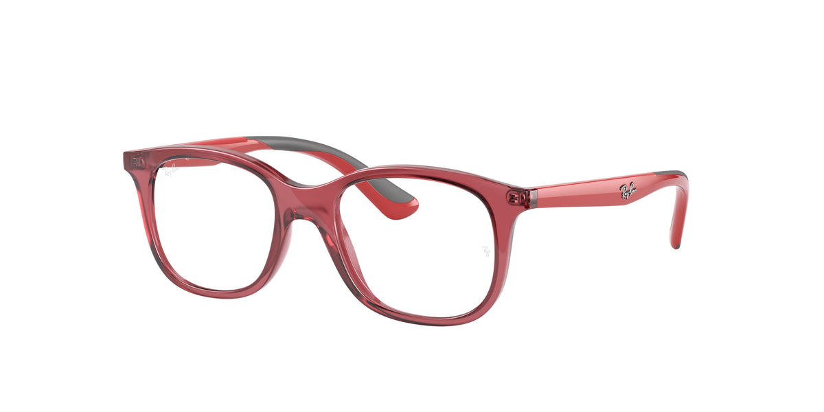 Ray-Ban Junior RY1604 glasses