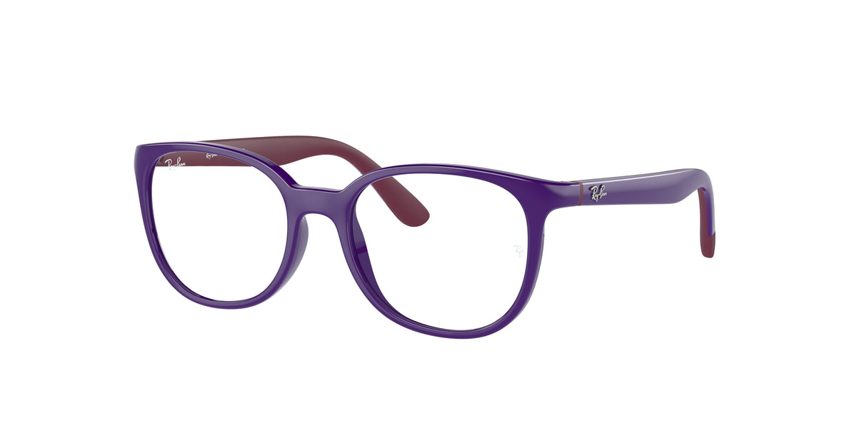 Ray-Ban Junior RY1631 glasses
