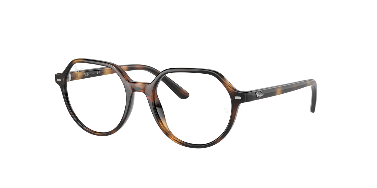 Ray-Ban Junior Thalia RY9095V glasses