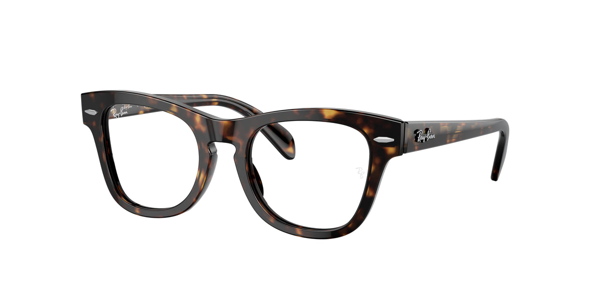 Ray-Ban Junior RY9707V glasses