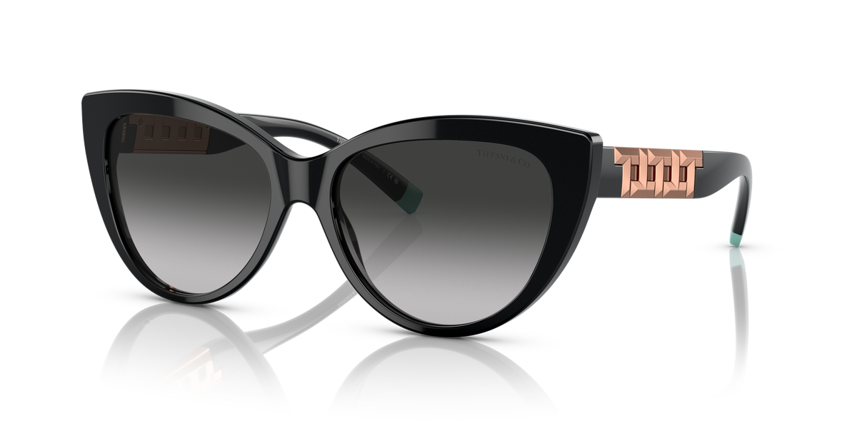 Tiffany TF4196 sunglasses