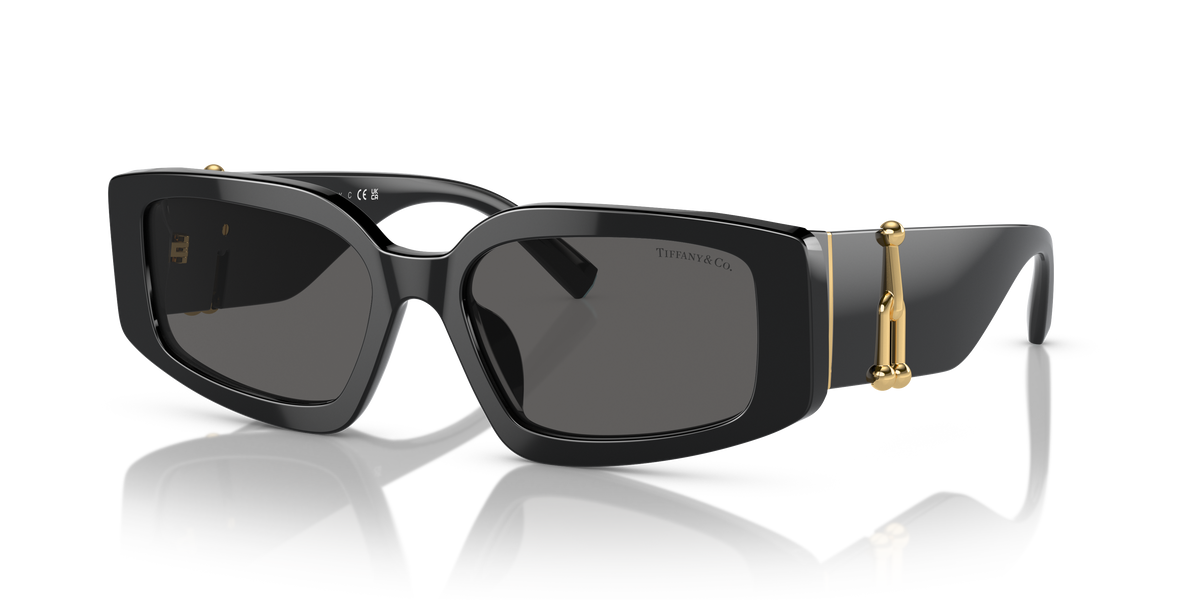 Tiffany TF4208U sunglasses