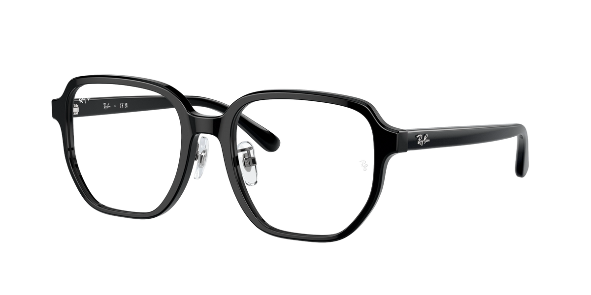 Ray-Ban RX5424D Glasses frame